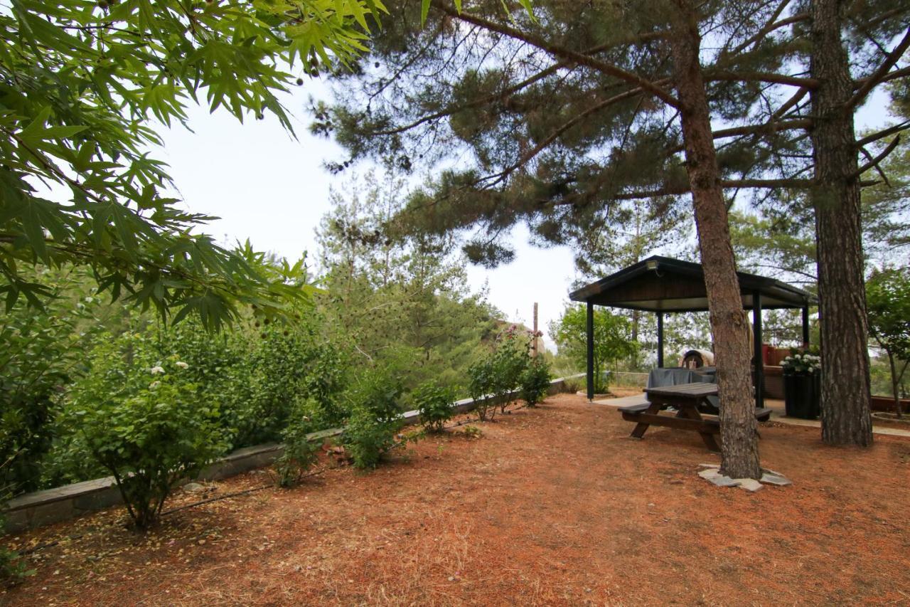 Phaedrus Living: Forest View Luxury Villa Chantara Foini Exterior foto